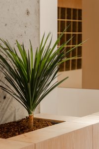 Tru3 Yoga Studio by ITGinteriors