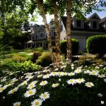 5 Expert Tips To Prepare Your Home For Selling