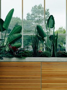 A Quick and Easy Guide to the Perfect Indoor Garden