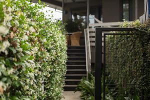 Hotel Saint Cecilia by Clayton & Little