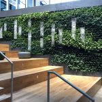 How Natural Architecture Can Improve Productivity