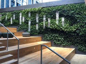 How Natural Architecture Can Improve Productivity