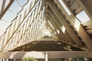 Kloboucká lesní by Mjölk Architekti