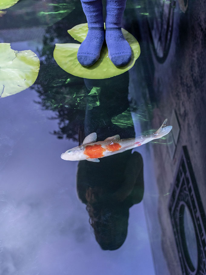 The Story of Gardening by Kossmanndejong