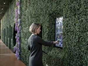 The Story of Gardening by Kossmanndejong