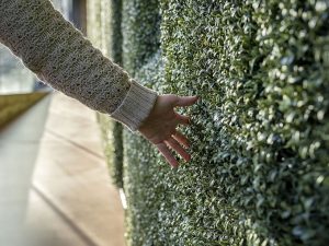 The Story of Gardening by Kossmanndejong