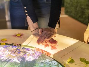 The Story of Gardening by Kossmanndejong