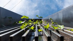 Ñato Restaurant by AR Arquitectos