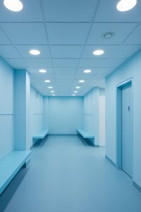 Elementary School Amos by SOA architekti