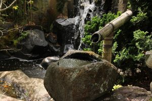 Water Features