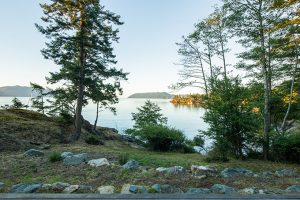 Lone Madrone by Heliotrope Architects