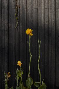 Atelier Villa by Formafatal