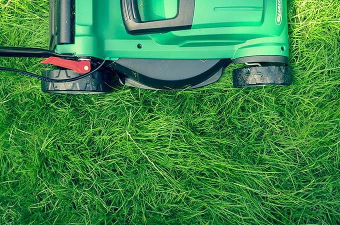 Lawn and Yard Maintenance for New Homeowners 