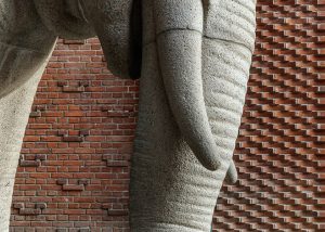 Theodora House by ADEPT