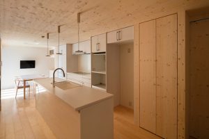 Continuous Plate House 2.0 by Ryumei Fujiki + Yukiko Sato / F.A.D.S