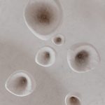 Khmara lamp by Sergey Makhno Product