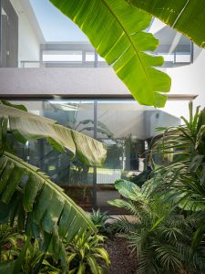 Casa LVF by PSV Arquitectura 