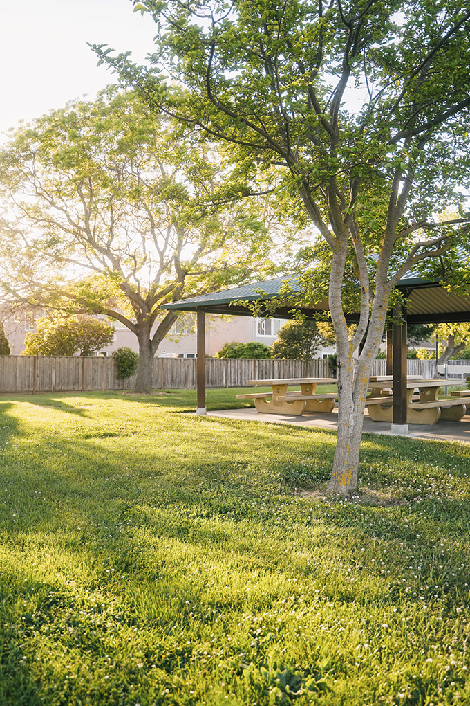 Easy Ways to Spruce Up Your Backyard