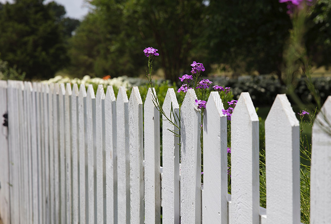 Easy Ways to Spruce Up Your Backyard