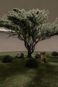 Plan B by Sergey Makhno Architects