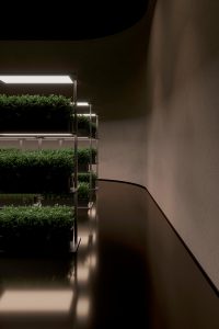 Plan B by Sergey Makhno Architects