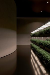 Plan B by Sergey Makhno Architects