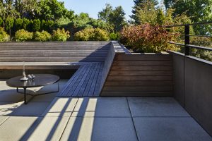 The Starling's Nest by Rerucha Studio