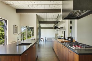 The Starling's Nest by Rerucha Studio