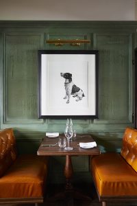 The Elder and The Jib Door by Fettle