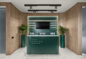 365 Studio by Bogdanova Bureau