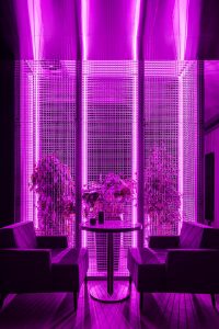 Chernyi Coffee Bar by Ponomarenko Bureau