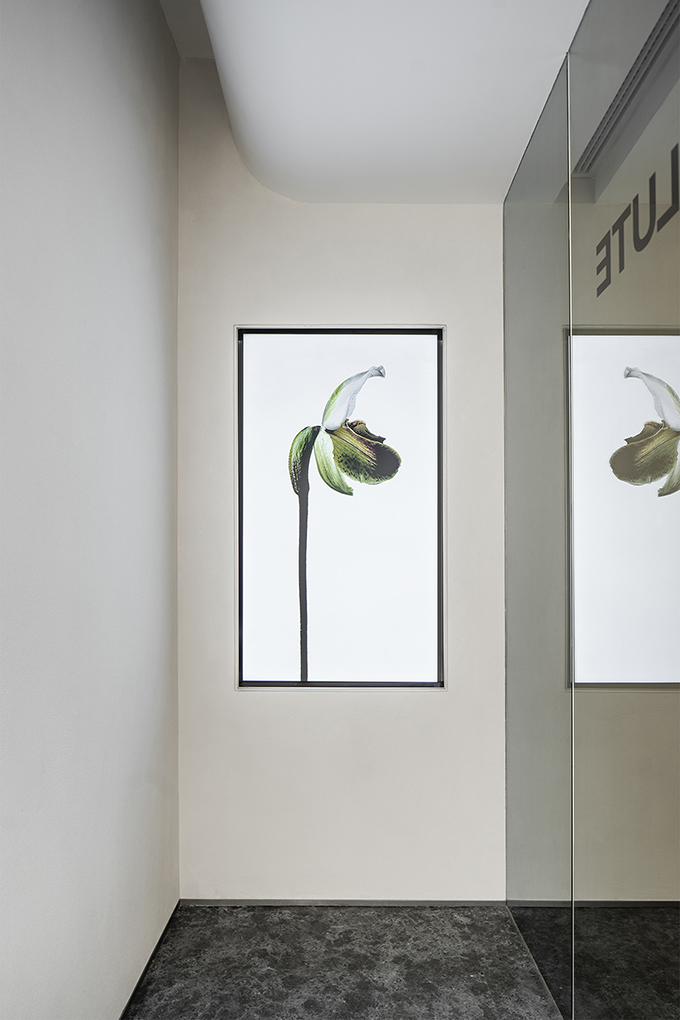 Absolute Flower Shop by MDO