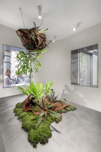 Absolute Flower Shop by MDO