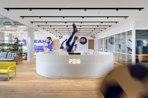 Agile and Dynamic Offices for FEG by Perspektiv
