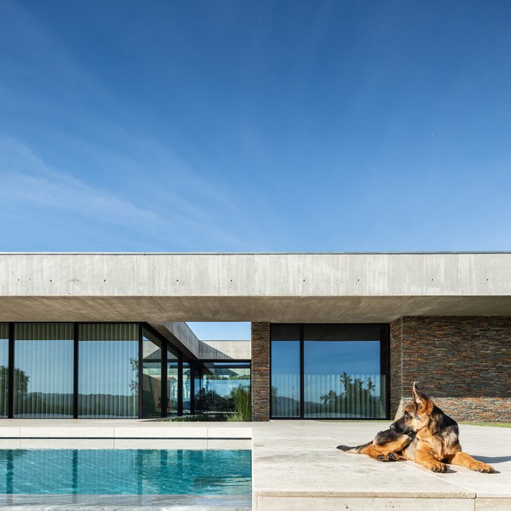 Cork Tree House by TRAMA arquitetos