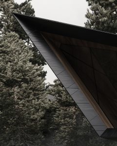 BLACKBIRD by STIPFOLD