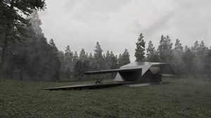BLACKBIRD by STIPFOLD