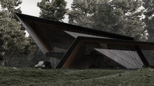 BLACKBIRD by STIPFOLD