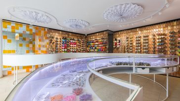 Creative Origin by EFEEME arquitectos