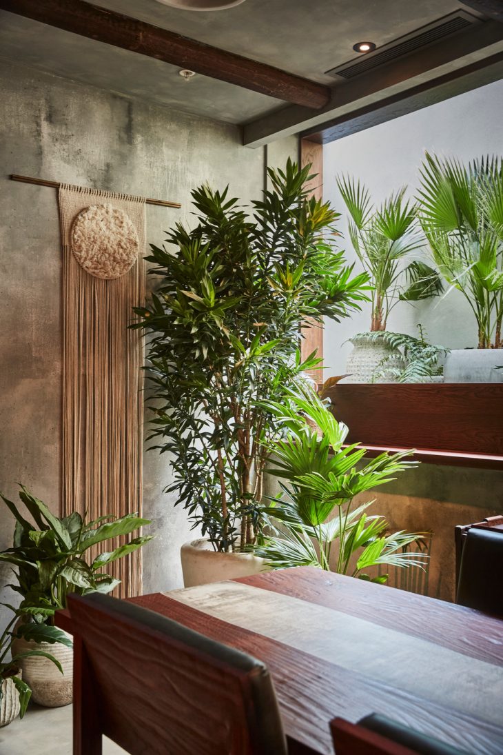 KOL by A-nrd studio