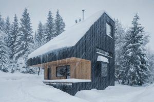 Weekend House Nové Hamry by NEW HOW architects