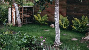 Why Yard Upkeep is an Important Part of Home Maintenance