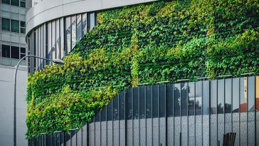 The Growing Market for Sustainable Building Materials