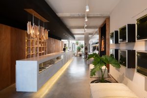 CB Mona by V + Arquitectura