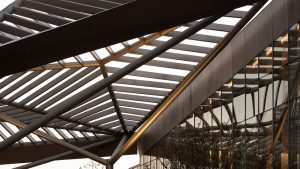 Jinmao Star in the Bund·Qin Wang Fu Exhibition Hall by CCD