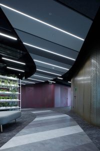 Livesport Company Offices by Studio Reaktor