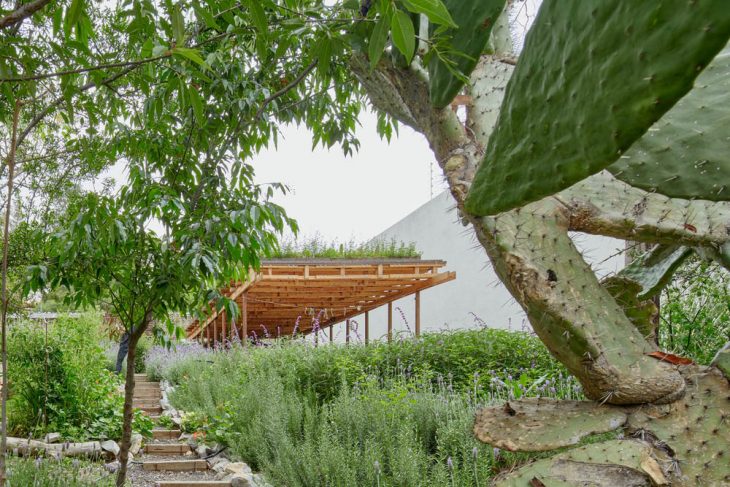 El Terreno by VERTEBRAL