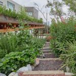 El Terreno by VERTEBRAL