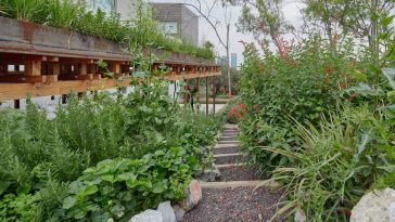 El Terreno by VERTEBRAL