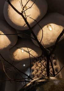 Zielinski & Rozen by Makhno Studio